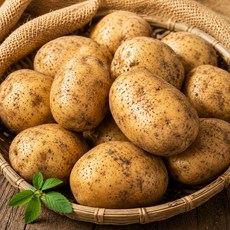 [2026년수확] 포슬포슬 국내산 감자 햇감자, 1박스, 대5kg