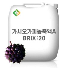 가시오가피농축액A 20Brix 200g 샘플, 1개