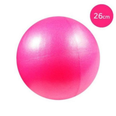 운동공 아이비스 10697 소프트미니볼26cm(SP)-핑크, 핑크