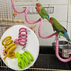 하노빅 앵무새놀이터 횟대 1m 조류용품, 1개