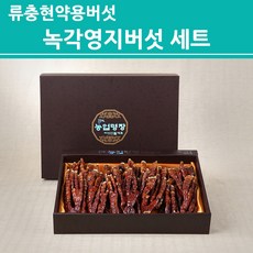 류충현약용버섯 녹각영지버섯 국내산 친환경 무농약인증 베타글루칸, 1세트, 400g