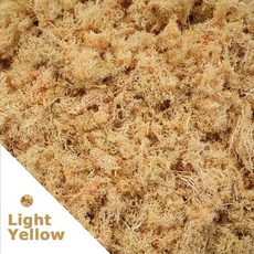 500g/1000g 미니 풍경 이끼 잔디 영원한 생명 가짜 인공 녹색 식물 홈 정원 장식 DIY 공예, 17)1000gram, Yellow