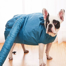 펫 드라이 건조복 타월가운 목욕 흡수 빠른건조, ONE_M, 1개