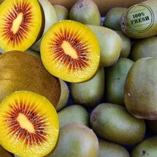 리빙어센틱 제주 레드키위 고당도 홍다래 제철과일 산지직송, 1박스, 특대과 4.5kg