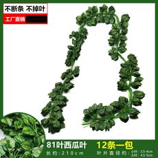 仿真葡萄葉藤蔓爬山虎藤條，常青藤綠蘿植物假綠葉吊頂裝飾，綠植牆壁裝飾, 81葉彩印西瓜葉（12條裝）, 1個