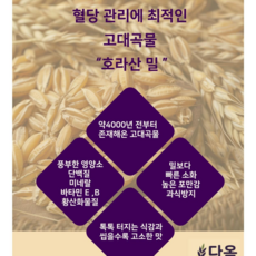 국내산 100% 파로(호라산밀), 1kg