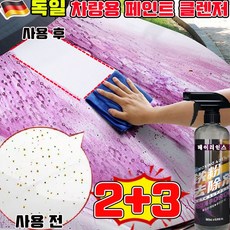 차량용 페인트 클렌저 자동차 워터스팟 제거 차량용 녹제거제 스프레이 습식 페인트 제거제 차량용 타르제거제 자동차 석회물 새똥 송진 시멘트 얼룩 찌든때제거제, 5개, 500ml