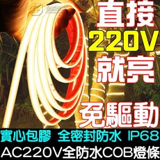 仟尚電商 防水 220V COB燈條 免變壓器 實心包膠 高壓燈條 (1米-100米可選), 1個, ２２０Ｖ免驅動ＣＯＢ包膠防水燈條／暖白光,１００公分／寬１０ｍｍ－單頭１０公分電線