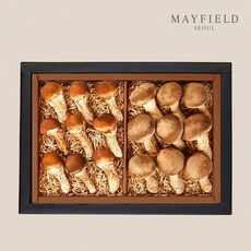 생버섯 혼합세트(참송이500g플러스참송화500g), 1