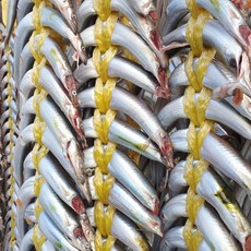 부드러워 뼈째먹는 국내산 제철 햇 양미리 도루묵 까나리 알배기 생물 반건조, 1개, 03_반건조 양미리 40미