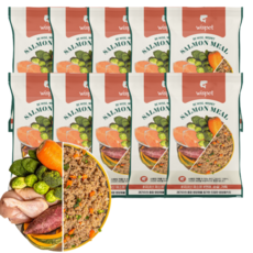 와즈펫 식자재 100% 프리미엄 화식사료_고품질 생육 90%(기호성/뼈) 국내산채소(소화/체중) 필수영양제(피부/노화개선), 100g, 10개, 연어