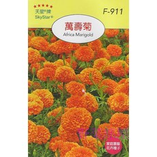 【野菜部屋】天星牌 萬壽菊 Africa Marigold 種子 (穗耕種苗), 1包
