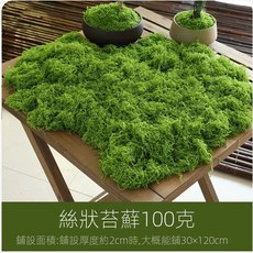 【微景小舖】微景觀 仿真毛線苔蘚 仿真花插材料 仿真青苔 假苔蘚 假草坪綠植裝飾 景觀盆栽 DIY組盆材料 苔蘚生態瓶, 1個, 淺綠色苔蘚/100克+/-1g