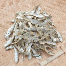 국내산 육수용 고노리 1.5kg 업소용 국물 다시용, 1개
