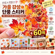 [엠동] 가을 단풍 낙엽 방수 스티커 60매 투명 PET 다꾸 노트북 데코, 60개, 멀티