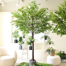 인테리어 대형 인조 조화나무 플랜테리어 자작나무, 1세트, 자작나무 브라운목대 받침형 240CM_솔향난초잔디