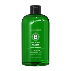 블랙페블 올인원 쿨링 클린 웨이브 남성청결제, 1개, 500ml