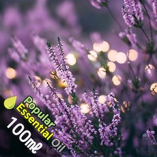 K002 라벤더 100ml (Lavender Essential Oil) 천연에센셜 오일 보급형 원액 아로마, 1개