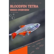 (영문도서) Bloodfin Tetra: From Novice to Expert. Comprehensive Aquarium Fish Guide Paperback, Independently Published, English, 9798399741888
