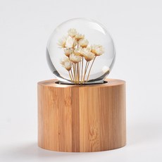 雛菊水晶球音樂盒木質迷你天空之城千與千尋八音盒擺件, 米白色-生日快樂