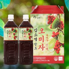 문경 발효 오미자 진액 한방원료배합 발효진액, 2L, 1박스