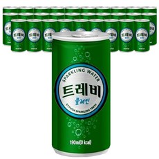 롯데칠성 탄산 트레비 플레인 190ml x 60캔, 없음