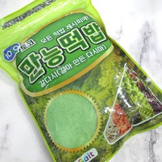 토코 갈다시 만능떡밥 붕어 잉어 향어 민물 낚시 떡밥 집어제, 300g, 1개