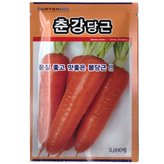 오스템 춘강 당근 씨앗 (봄당근) 5000립, 1개