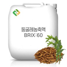 둥굴레농축액 60Brix 200g 샘플, 1