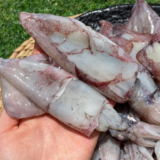 산지직송 생물! 활 한치 1kg 15미내외 (엄청 큰사이즈) 국내산 오징어보다 부드러운 제철 한치 회 통찜, 1세트, 통찜용 급냉 한치 500g