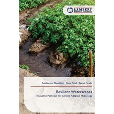 (영문도서)Resilient Waterscapes Paperback, LAP Lambert Academic Publis..., English, 9786209283062