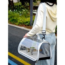 앵무새 투명 캐리어 이동가방 반려동물 소동물 손가방, 1개, 업그레이드