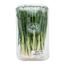 국내산 깐쪽파 손질쪽파 1/4단, 1개