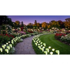 태양광 LED 장미 정원등 화이트 핑크 레드 무선 방수 조명 900mAh 조도센서 자동점등 야외 가든 라이트 마당 정원 꾸미기 친환경 태양열 충전