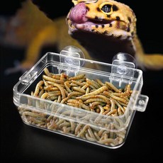 반려동물 펫 컴팩트 탈출방지 미니 가고일게코 애완동물 클리어 투명 30815pc 1(pc), 투명 소형