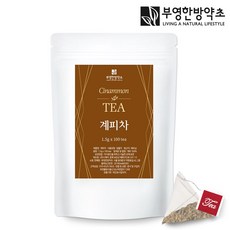 부영한방약초 계피차 티백, 100개, 1.5g, 100개입, 1개