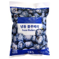 칠레산/블루베리1kg, 1개, 1kg
