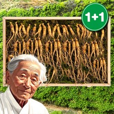 강원도 산양산삼 실속형 산삼 10뿌리, 1박스, 3g