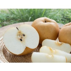 이렇게 맛있는곳은 첨보셧을겁니다 동명팜 싱싱달콤 나주배 당도보장 중대과 1kg 1-3과 맛없으면 환불해드릴게요, 1개