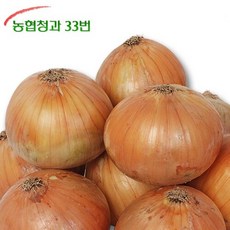 [농협청과33번] 양파 4kg - 소, 1개