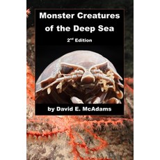 (英文圖書)Monster Creatures of the Deep Sea 平裝版, Life Is a Story Problem LLC, 英文