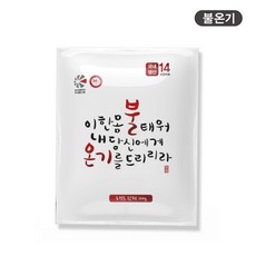 불온기 핫팩 손난로 100g, 20개