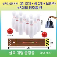 볼링 게임 실내 장난감 세트 스포츠 볼링핀 공 재미있는 보드게임, 5. 원목 23cm 풀세트  공 2개 10병 + 수납봉