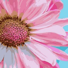 하모니아트 DIY 유화그리기 세트 40x50 코스모스hpa2+1pwC