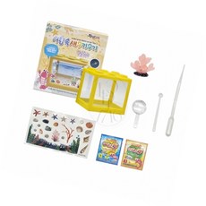 르꽁드 아토스 어항속새우키우기 애완새우