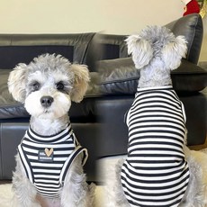 중형견 카시트 조수석 소형견 애견카시트 반려견 자동차, A. 흑백 줄무늬