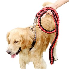 선데이몽키 세트(목줄+리드줄) 대형견 중형견 개줄 체인 산책줄, 블랙 M