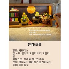 어린왕자 무드등 led 간접등 디퓨저 아로마 무드등 선물 세트 디퓨저추천, 3. 【어린 왕자세트】: 퓨어오렌지, 1세트