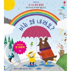 Usborne비는 왜 내려요?:우리 아이 첫 과학책 | 날씨, 어스본코리아, 상세내용 참조