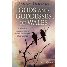 Pagan Portals - Gods and Goddesses of Wales: A Practical Introduction to Welsh Deities and Their Sto... Paperback, Moon Books, English, 9781785356216